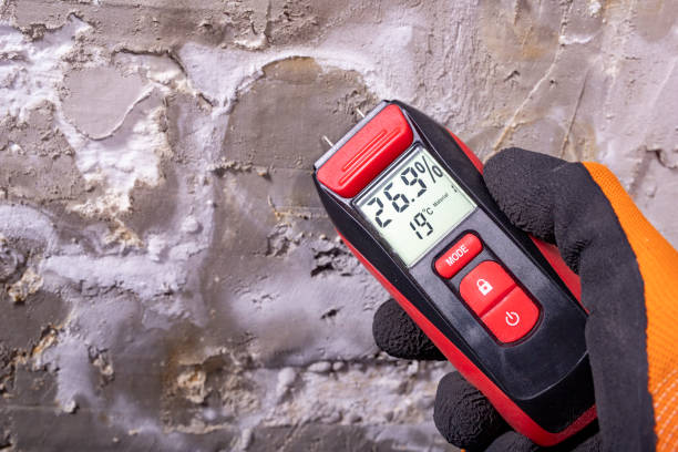 Best Mold Damage Repair  in Peebles, OH