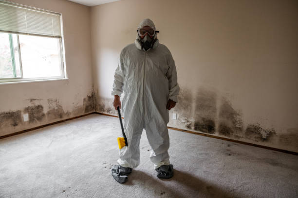 Best Certified Mold Removal  in Peebles, OH